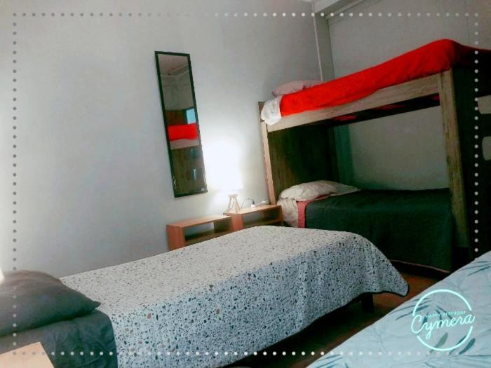 Patagonia Magica Apartman Punta Arenas Kültér fotó